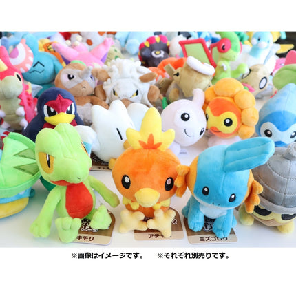 Treeko Pokemon Fit Plush